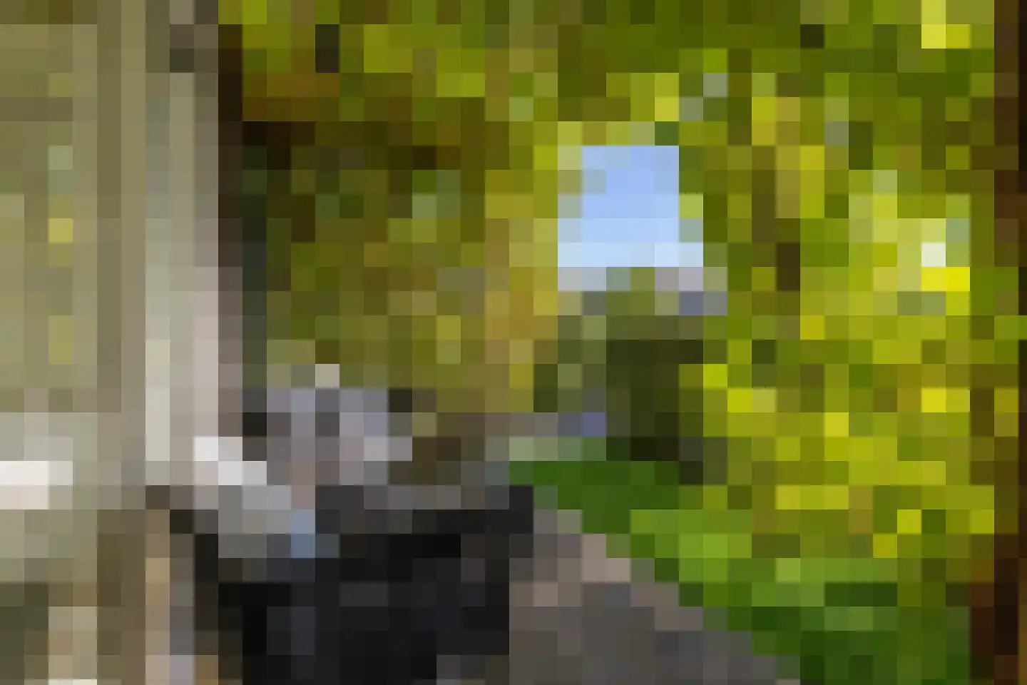 Meeroeverslaan 212 Meerstad thumbnail 25