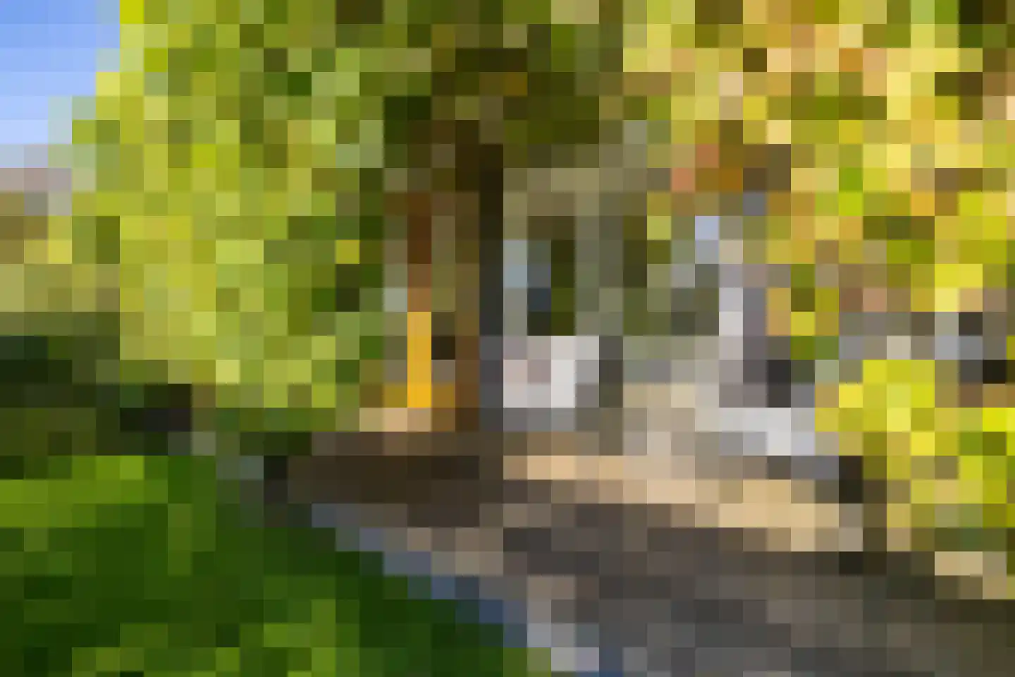Meeroeverslaan 212 Meerstad thumbnail 26