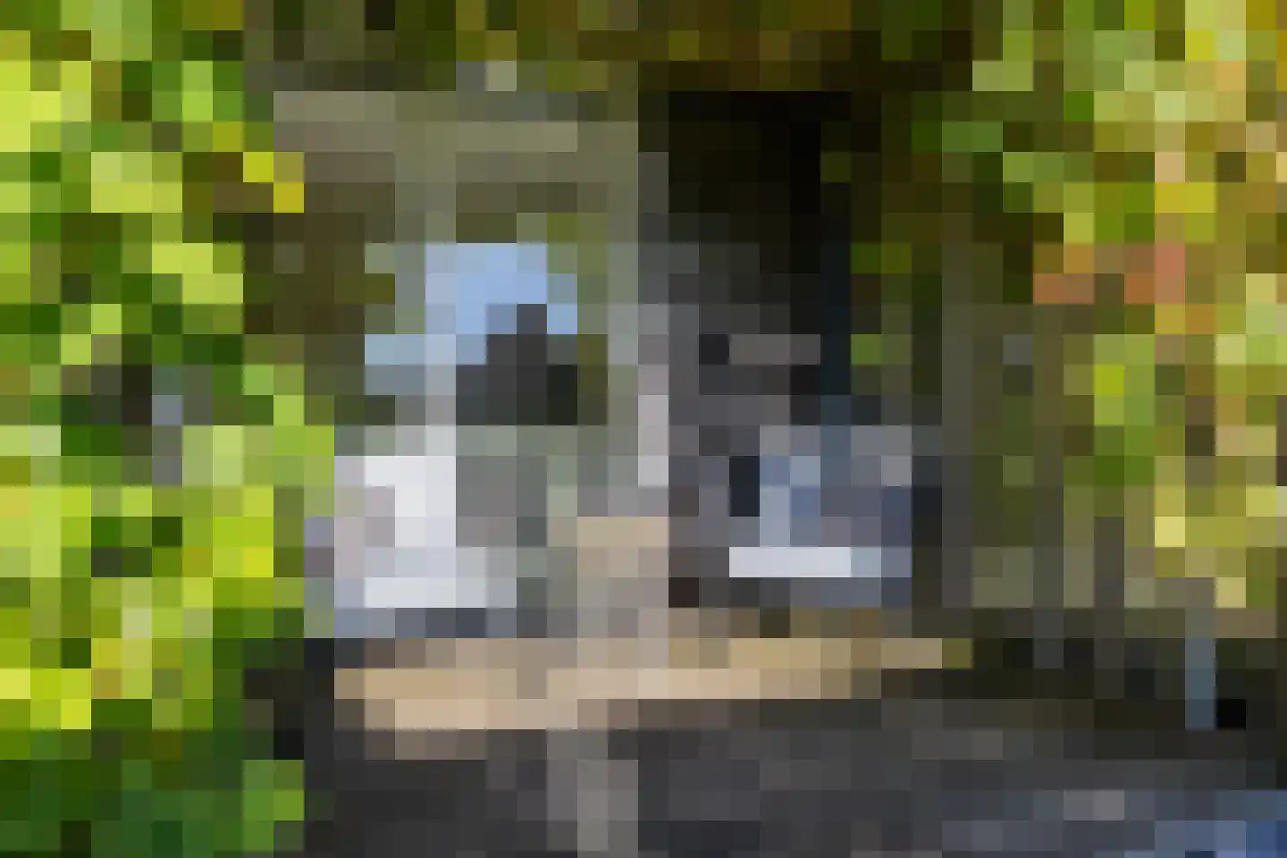 Meeroeverslaan 212 Meerstad thumbnail 27