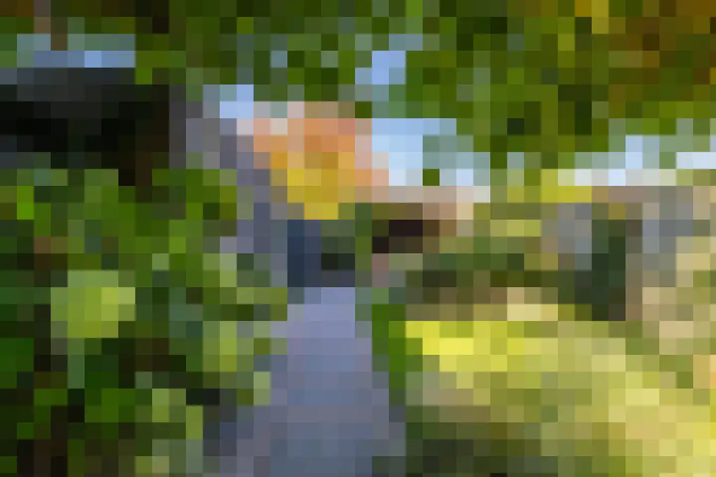 Meeroeverslaan 212 Meerstad thumbnail 39