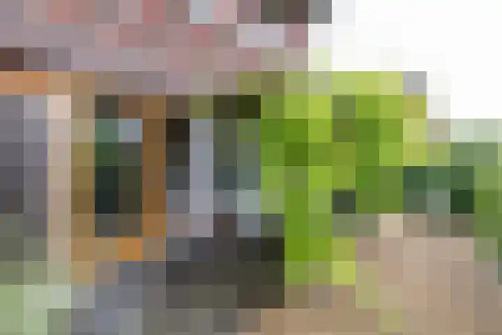 Meeroeverslaan 228 Meerstad thumbnail 33