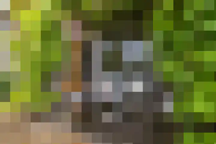 Meeroeverslaan 228 Meerstad thumbnail 35