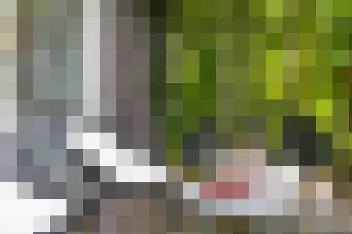 Meeroeverslaan 228 Meerstad thumbnail 37