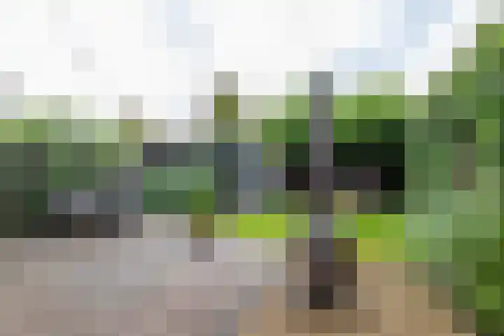Meeroeverslaan 228 Meerstad thumbnail 38