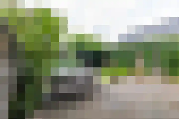 Meeroeverslaan 228 Meerstad thumbnail 39