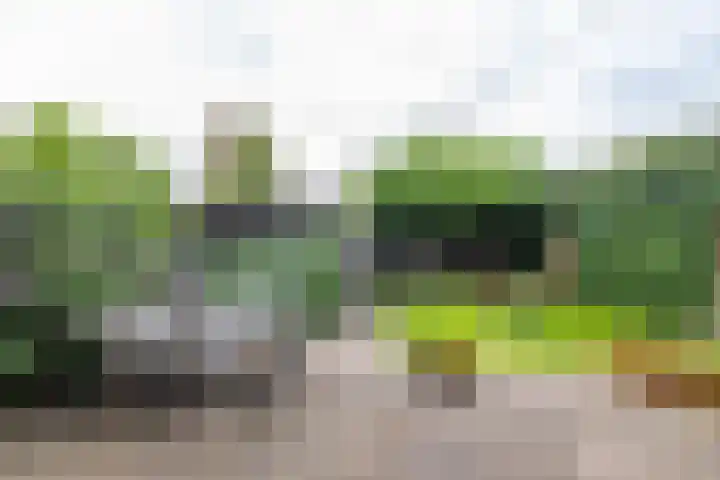 Meeroeverslaan 228 Meerstad thumbnail 40