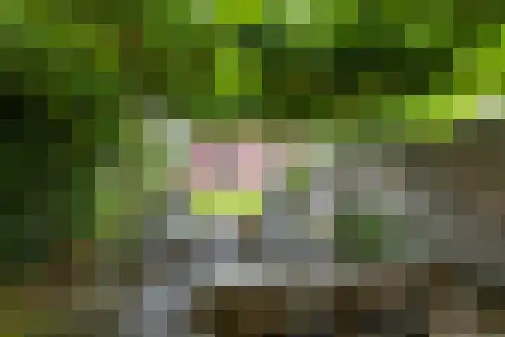 Meeroeverslaan 228 Meerstad thumbnail 43