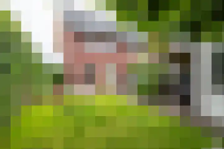Meeroeverslaan 228 Meerstad thumbnail 44