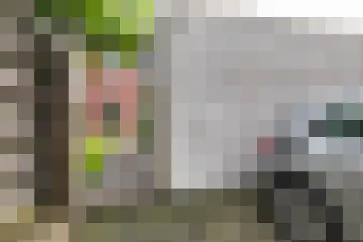 Meeroeverslaan 228 Meerstad thumbnail 48