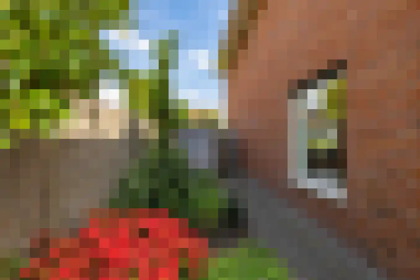 Meeroeverslaan 247 Meerstad thumbnail 54