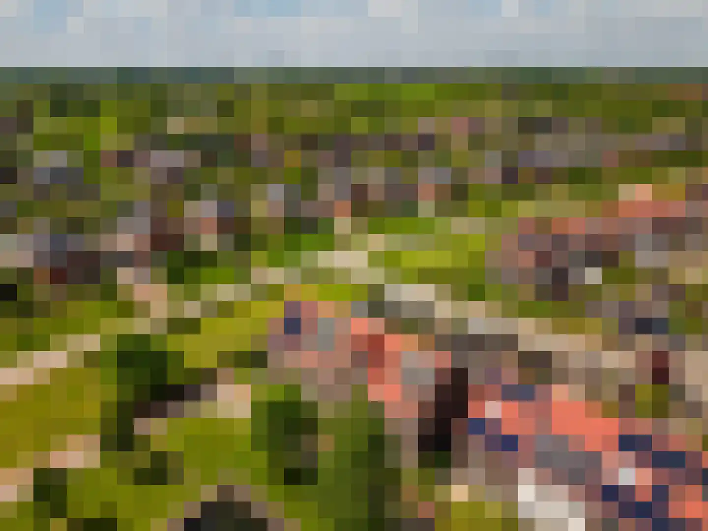 Meeroeverslaan 247 Meerstad thumbnail 7
