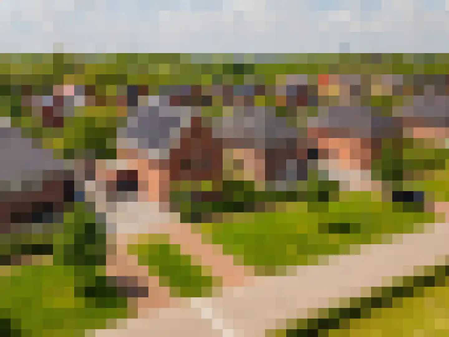Meeroeverslaan 247 Meerstad thumbnail 8