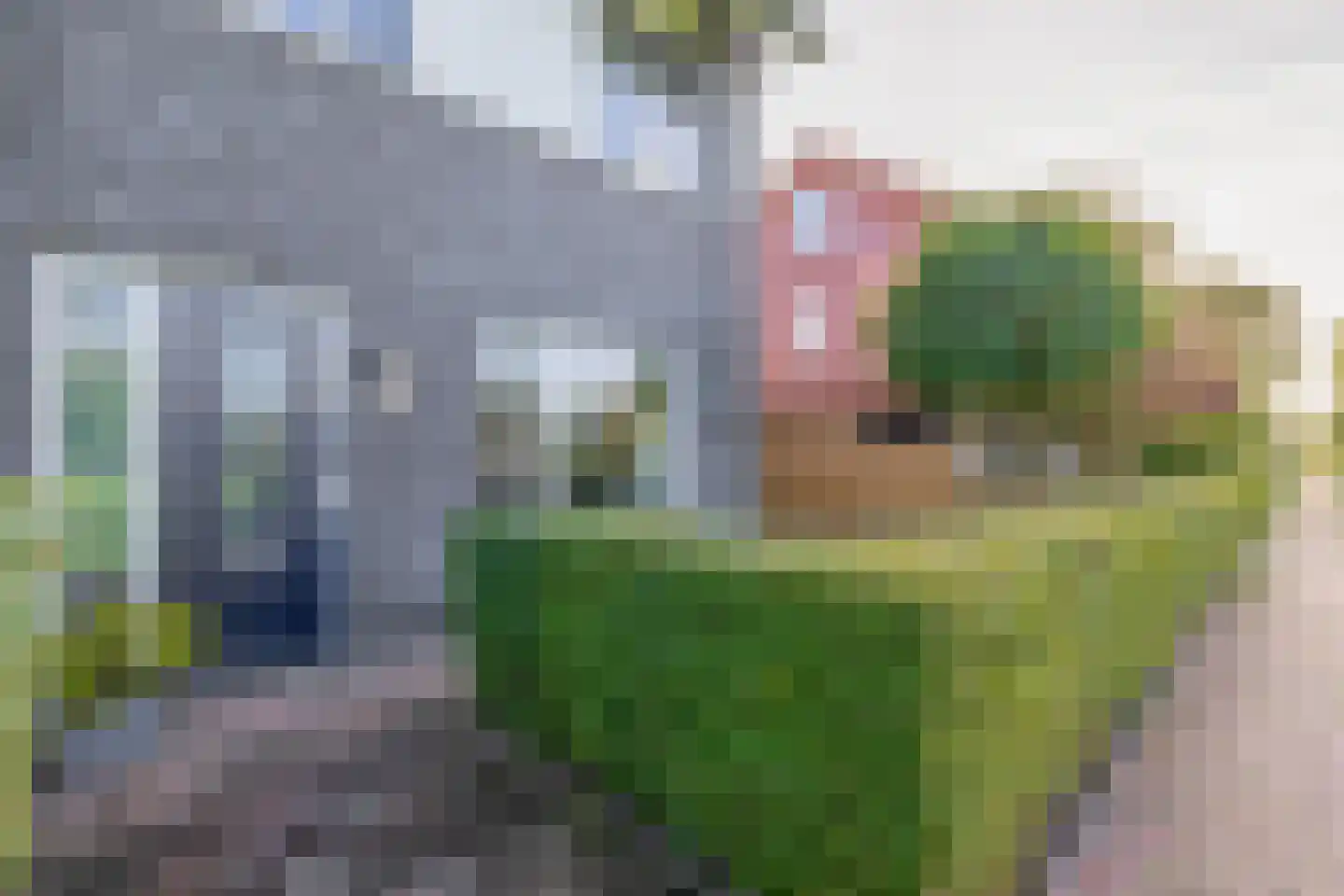 Meeroeverslaan 254 Meerstad thumbnail 11