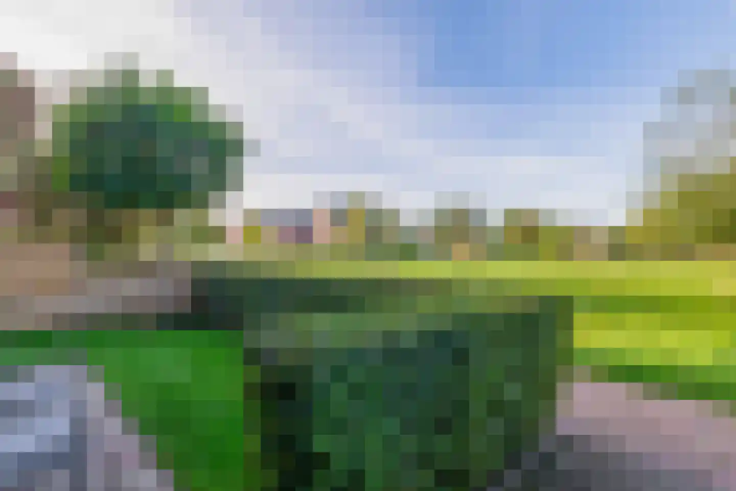 Meeroeverslaan 254 Meerstad thumbnail 6