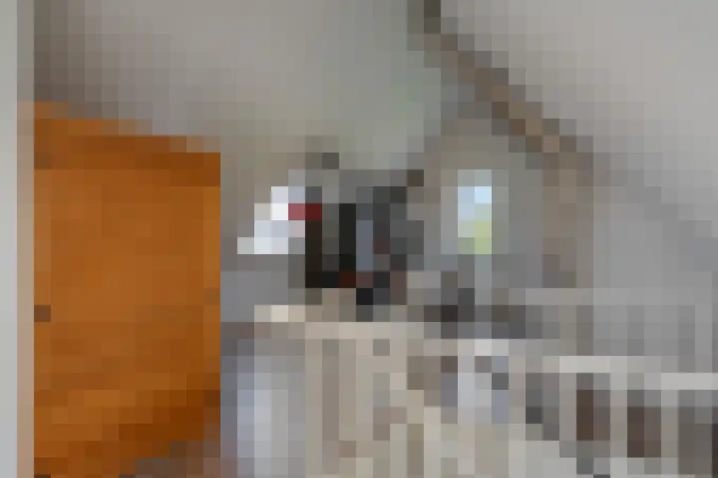 Meeroeverslaan 257 Meerstad thumbnail 38