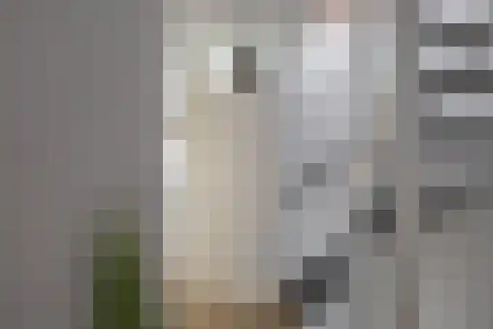 Meeroeverslaan 298 Meerstad thumbnail 17