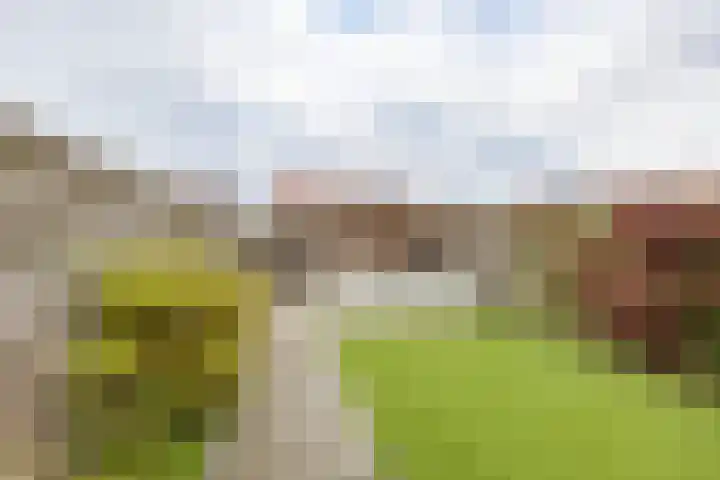 Meeroeverslaan 298 Meerstad thumbnail 38