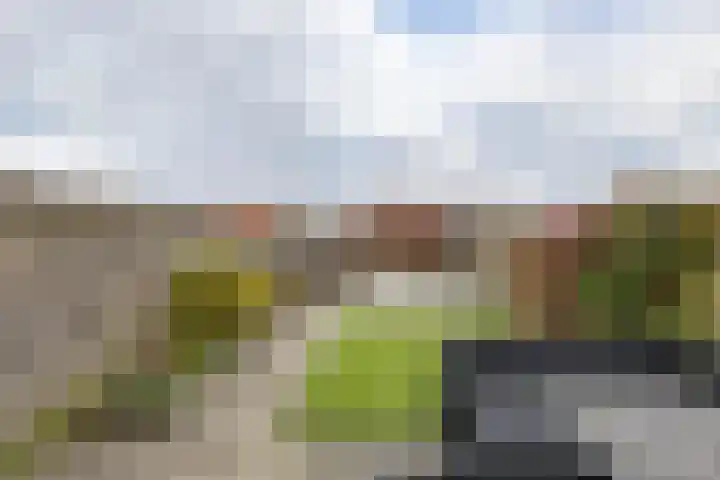 Meeroeverslaan 298 Meerstad thumbnail 39