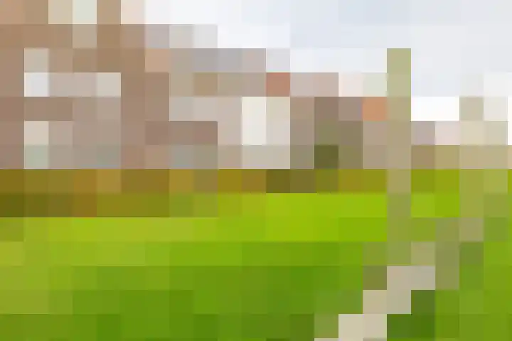 Meeroeverslaan 298 Meerstad thumbnail 49
