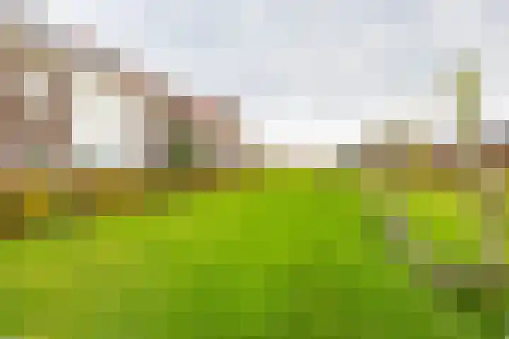 Meeroeverslaan 298 Meerstad thumbnail 50