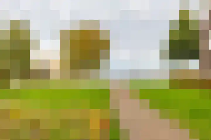 Meeroeverslaan 298 Meerstad thumbnail 52