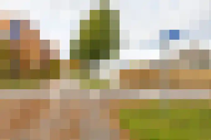 Meeroeverslaan 298 Meerstad thumbnail 53