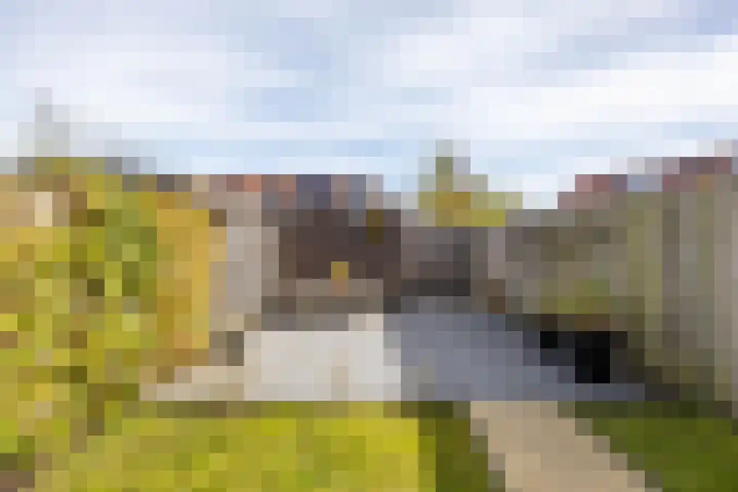 Meeroeverslaan 306 Meerstad thumbnail 31