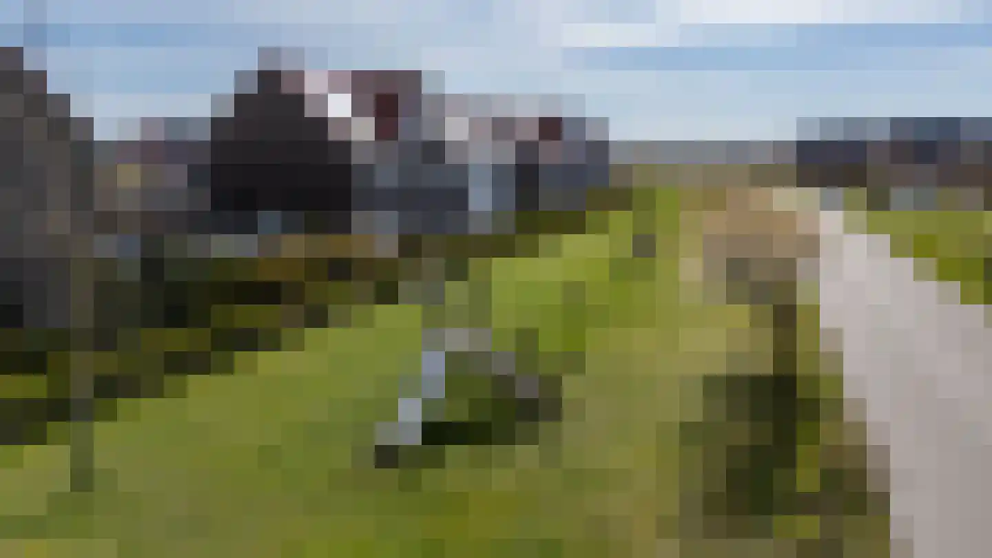 Meeroeverslaan 306 Meerstad thumbnail 38