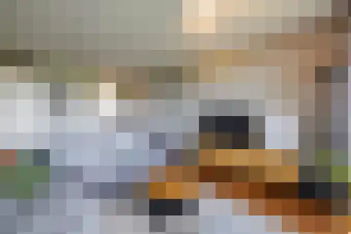 Meerpaal 113 Groningen thumbnail 11