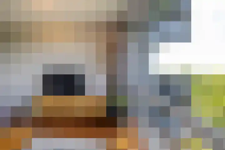 Meerpaal 113 Groningen thumbnail 12