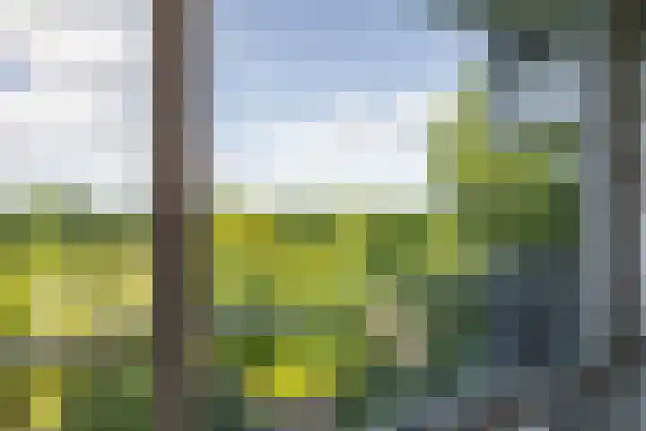 Meerpaal 113 Groningen thumbnail 13