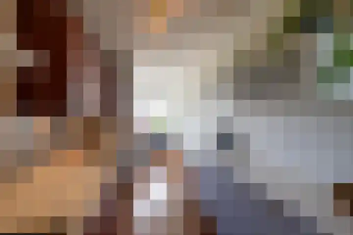 Meerpaal 113 Groningen thumbnail 16