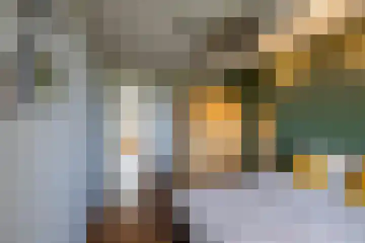 Meerpaal 113 Groningen thumbnail 25