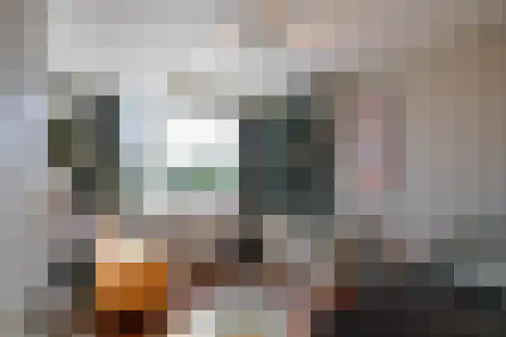 Meerpaal 113 Groningen thumbnail 26