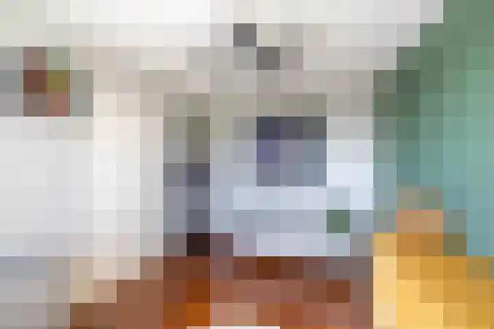 Meerpaal 113 Groningen thumbnail 29