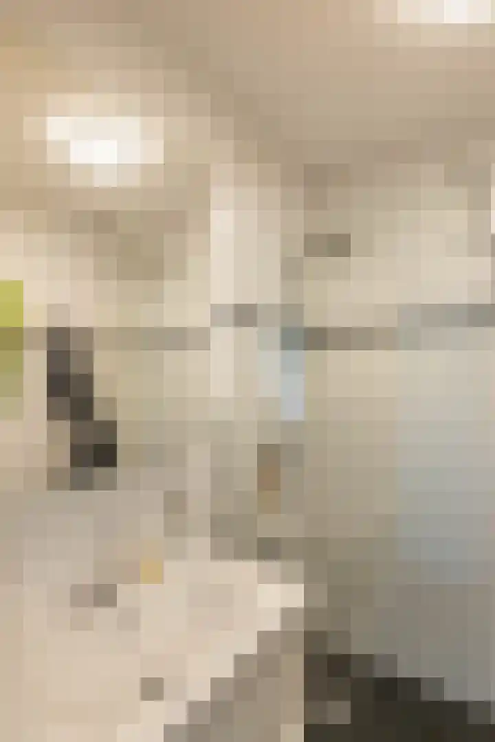Meerpaal 113 Groningen thumbnail 33