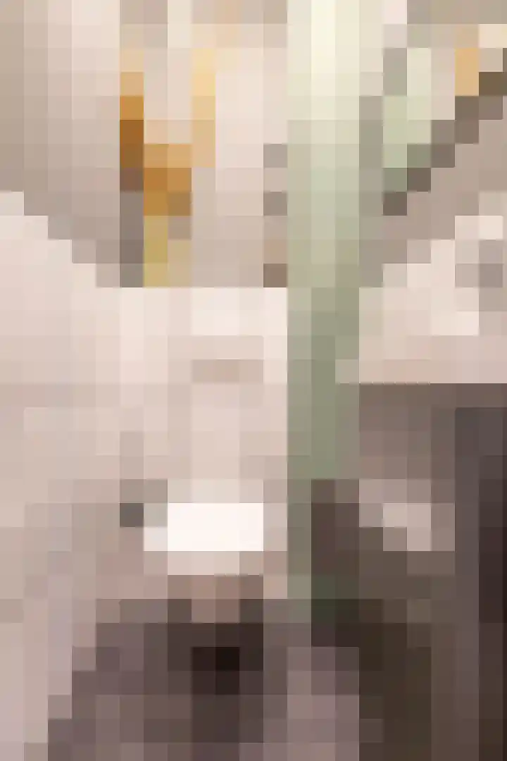 Meerpaal 113 Groningen thumbnail 34