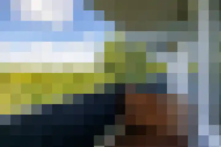 Meerpaal 113 Groningen thumbnail 37