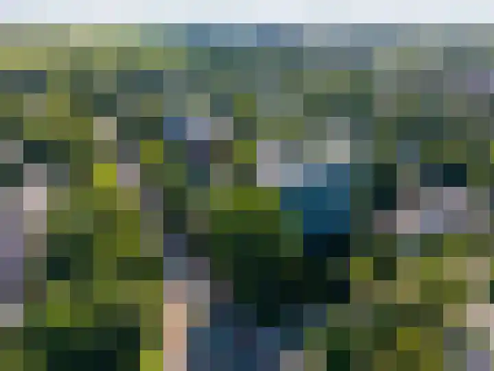 Meerpaal 113 Groningen thumbnail 39