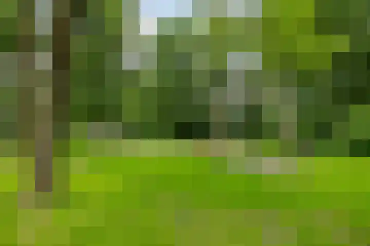 Meerpaal 113 Groningen thumbnail 40