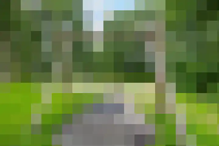 Meerpaal 113 Groningen thumbnail 41