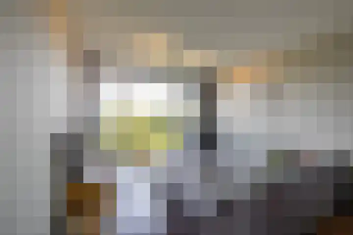 Meerpaal 113 Groningen thumbnail 42