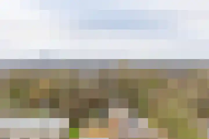Meerpaal 125 Groningen thumbnail 14