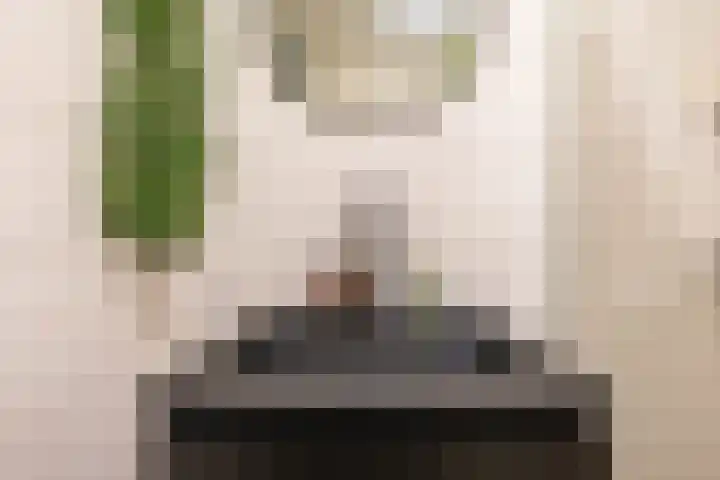 Meerpaal 125 Groningen thumbnail 18