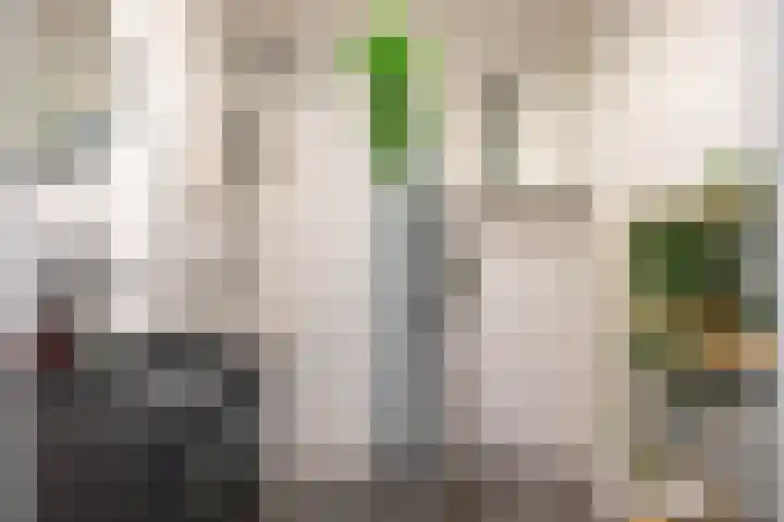 Meerpaal 125 Groningen thumbnail 19