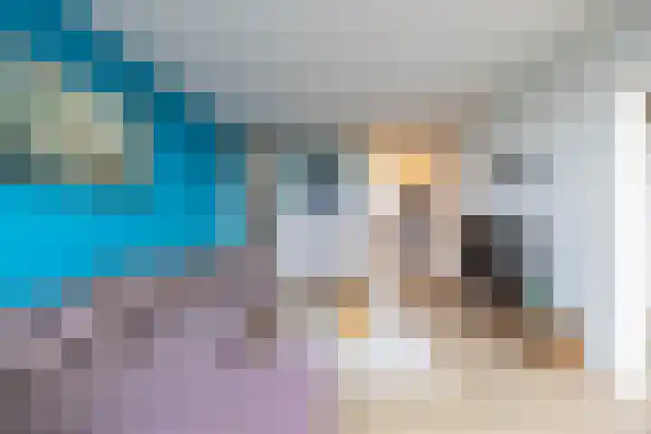 Meerpaal 125 Groningen thumbnail 25