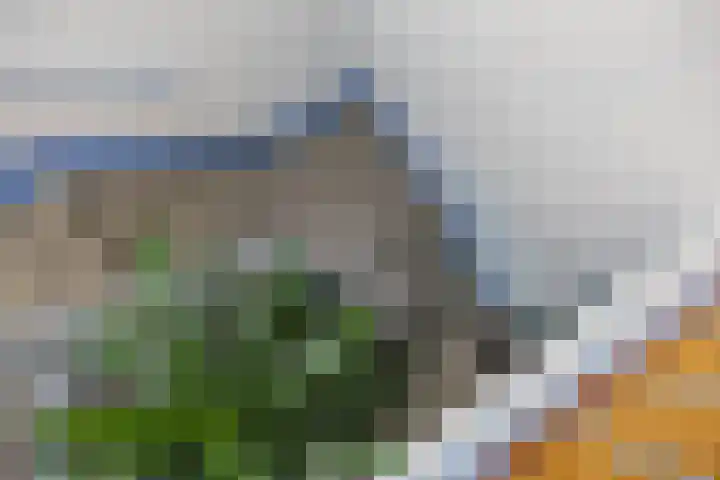 Meerpaal 125 Groningen thumbnail 7