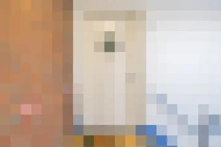 Meerpaal 125 Groningen thumbnail 8