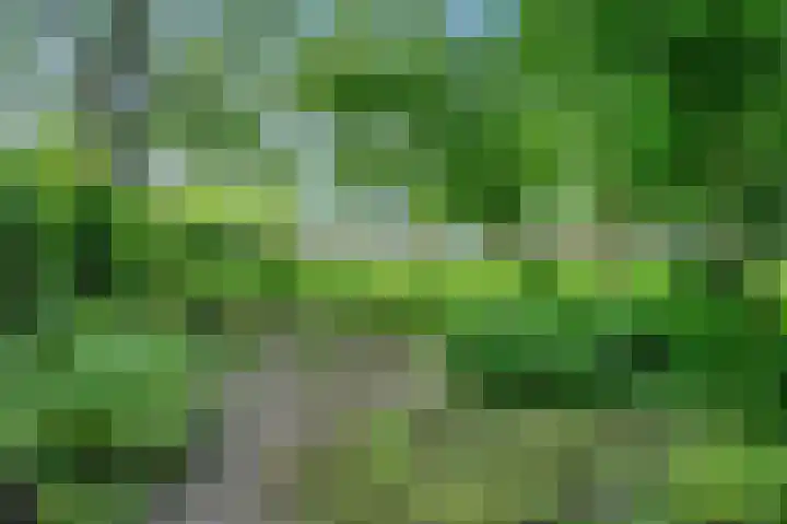 Meerpaal 127 Groningen thumbnail 29