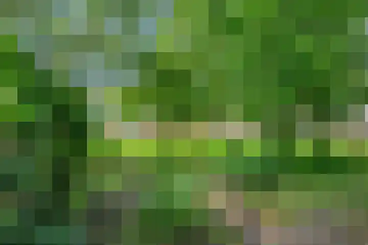 Meerpaal 127 Groningen thumbnail 30